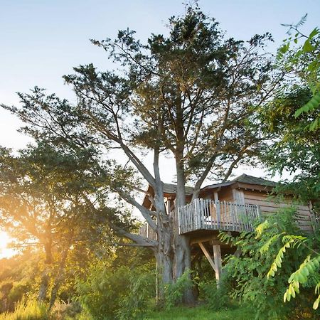 La Gree Des Landes - Eco-Hotel-Spa Yves Rocher La Gacilly Luaran gambar
