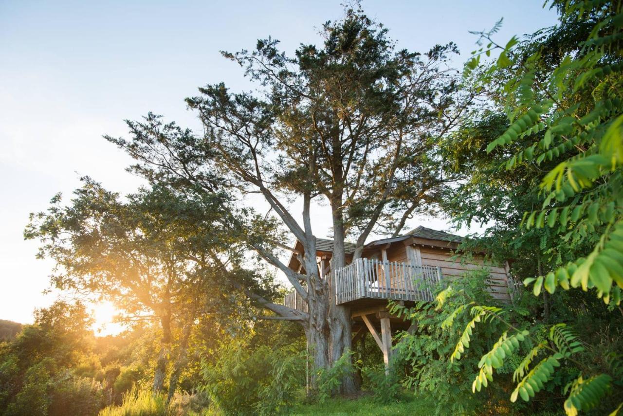 La Gree Des Landes - Eco-Hotel-Spa Yves Rocher La Gacilly Luaran gambar